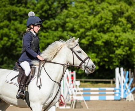 Horse competition